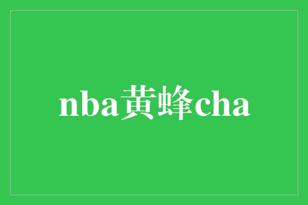  NBA黄蜂CHA：重建中的未来之星？